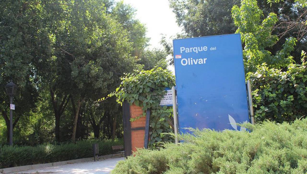 38.-EXT 2-PARQUE DEL OLIVAR
