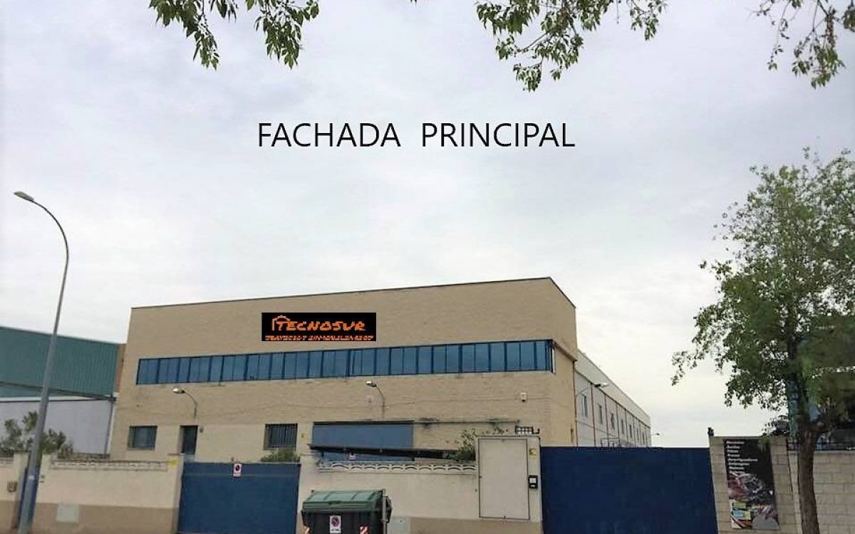 1.-FRONTAL ESQ.