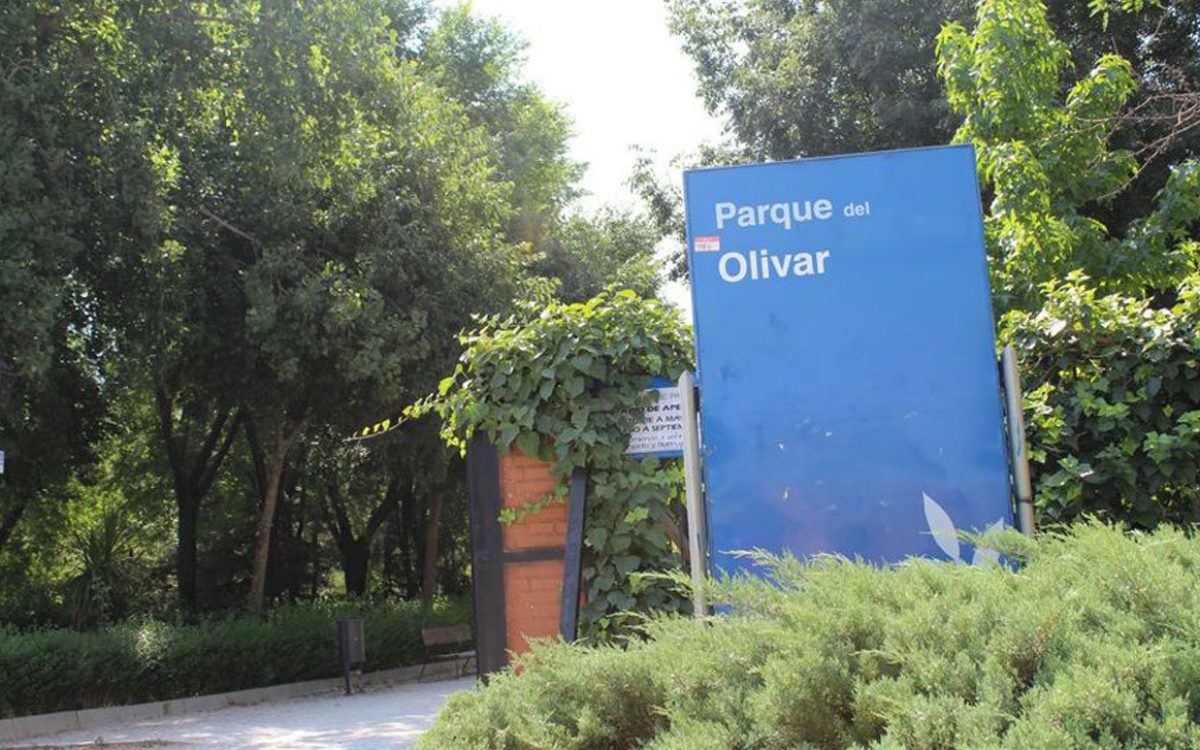19.-EXT 2-PARQUE DEL OLIVAR