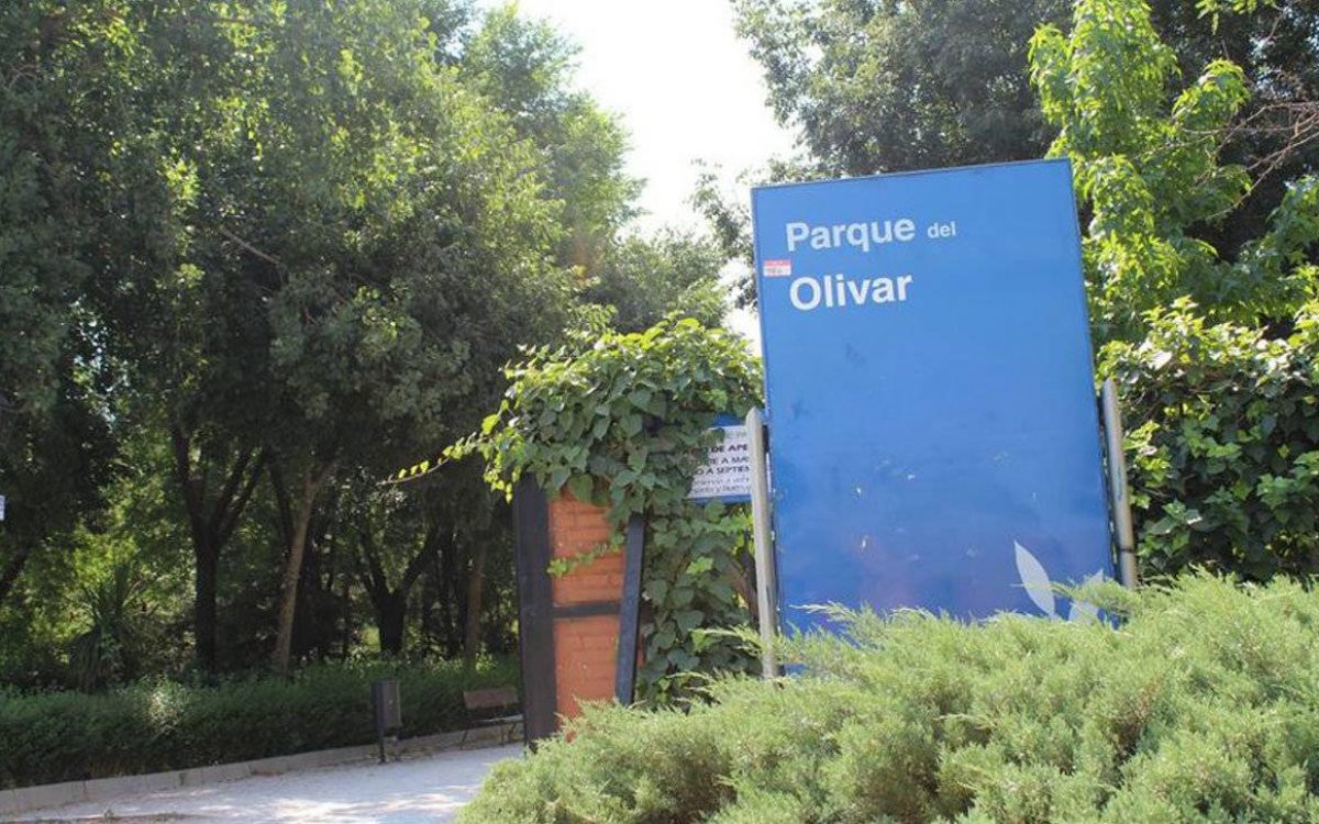 38.-EXT 2-PARQUE DEL OLIVAR