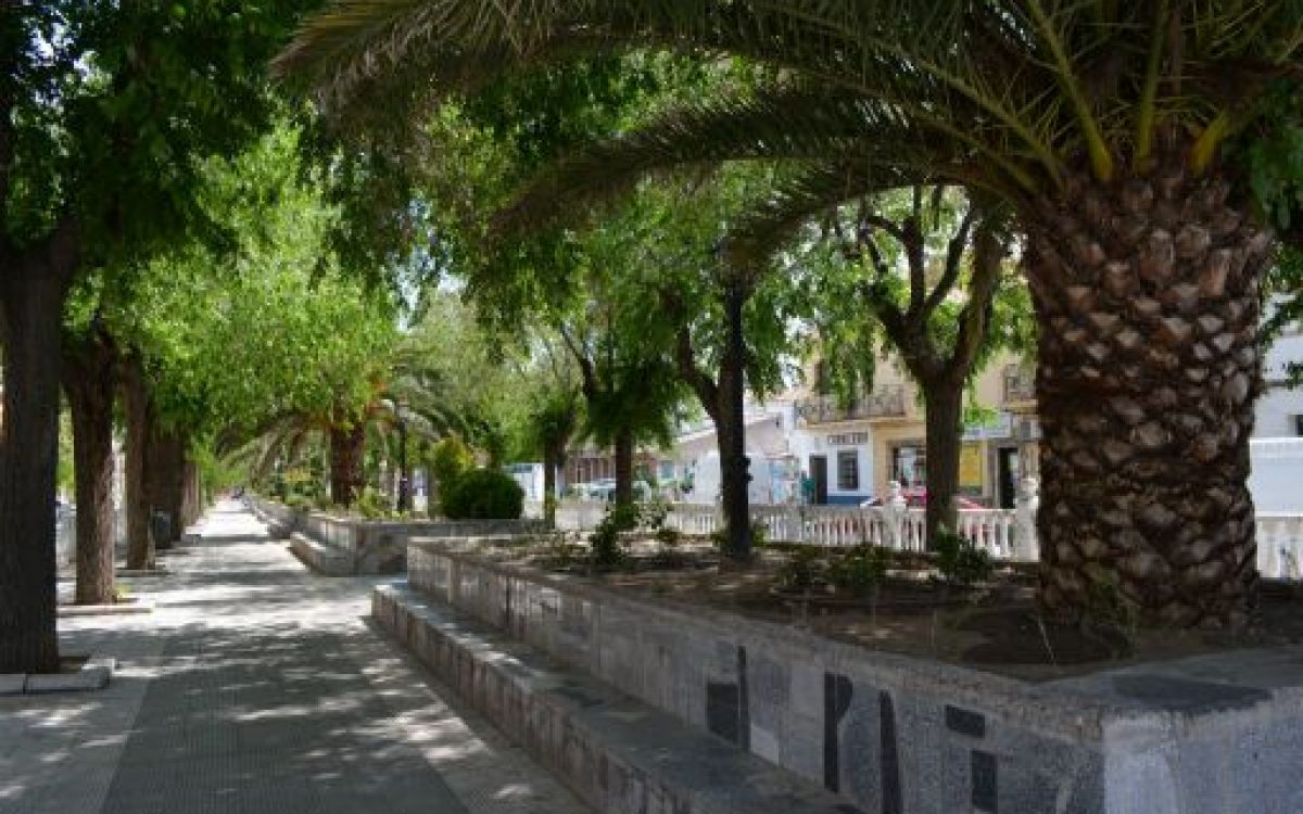 PARQUE PASEO CONSTITUCION
